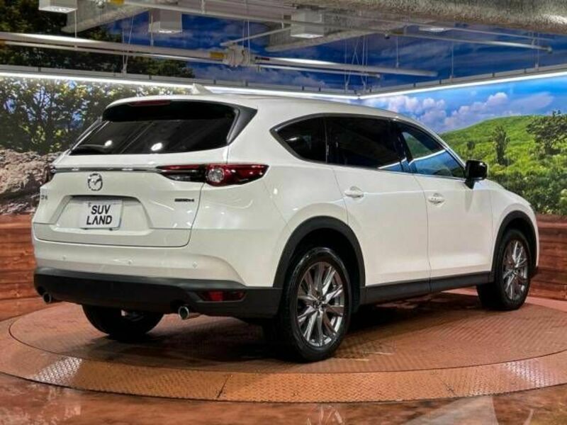 CX-8-15