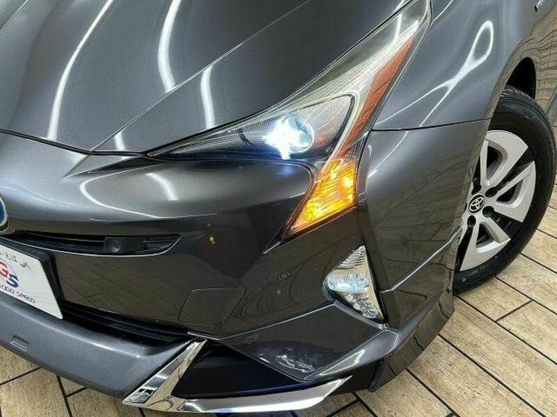 PRIUS-19