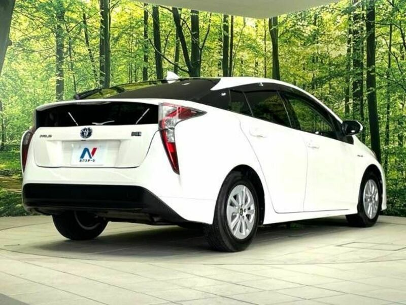 PRIUS-17