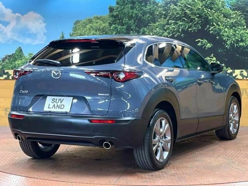 CX-30-17