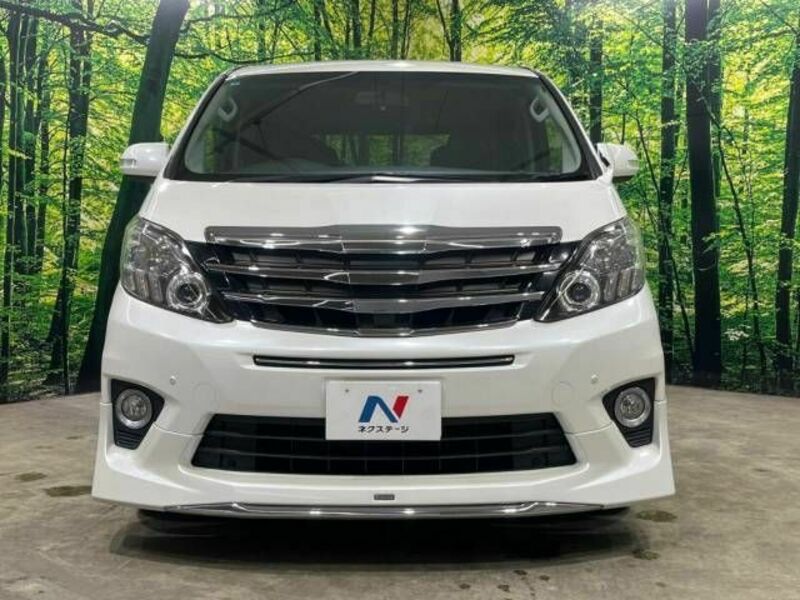 ALPHARD-15