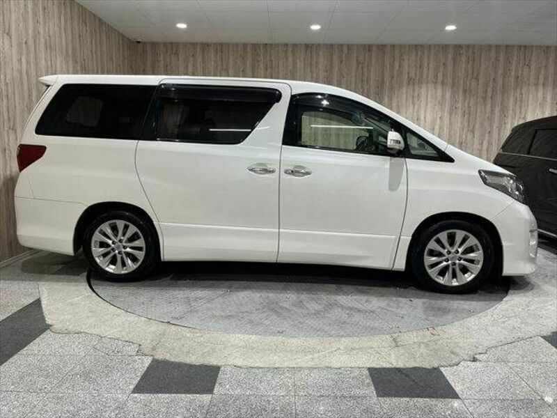 ALPHARD-16