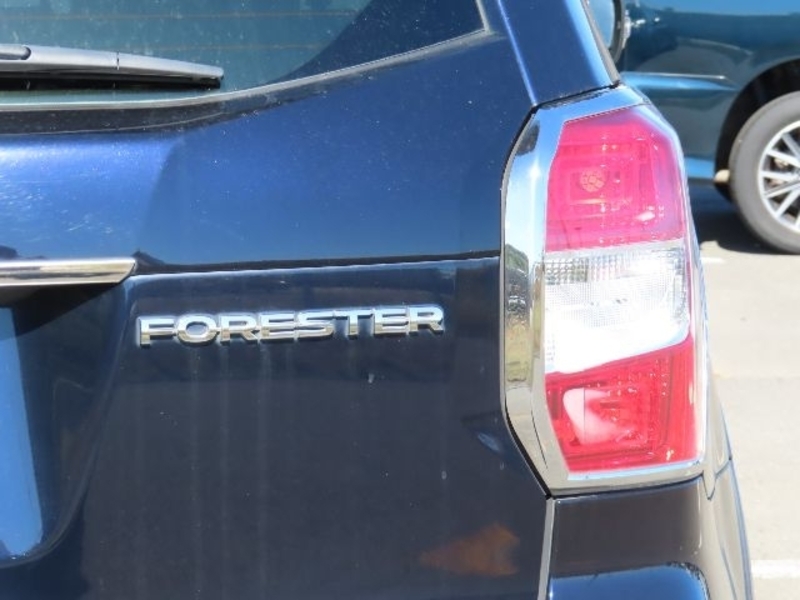 FORESTER