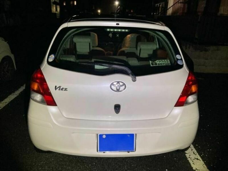 VITZ-3