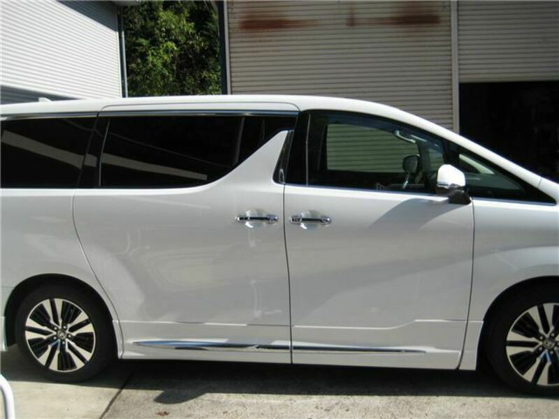 ALPHARD-6