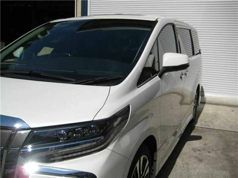 ALPHARD-14