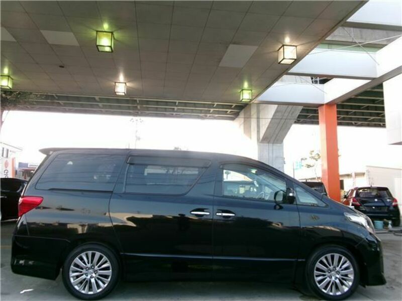 ALPHARD-36