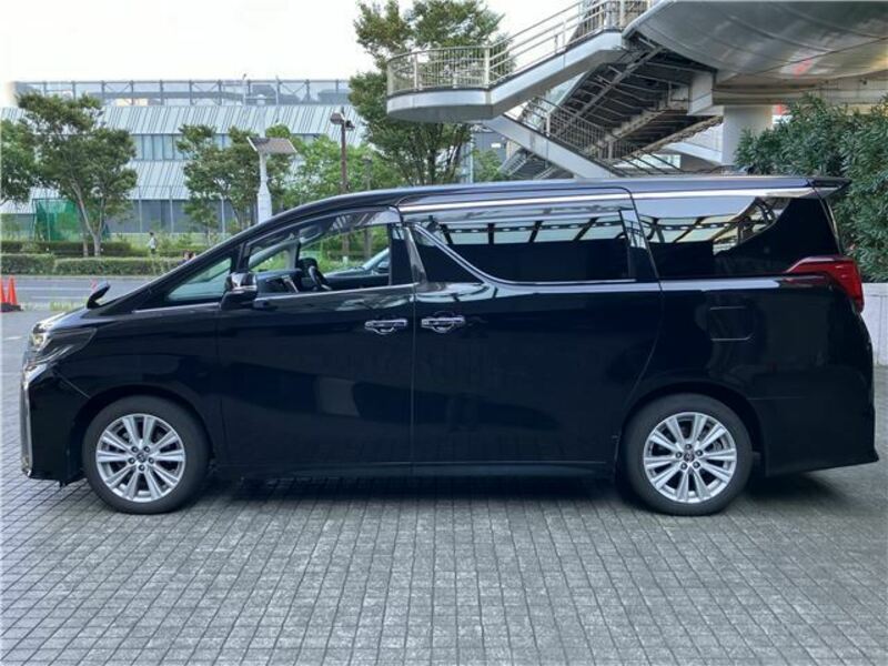 ALPHARD-6