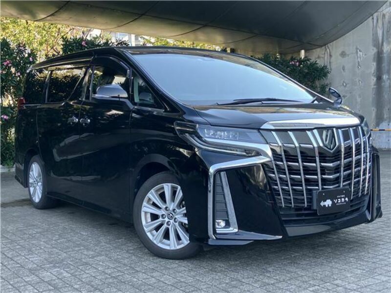 ALPHARD-10