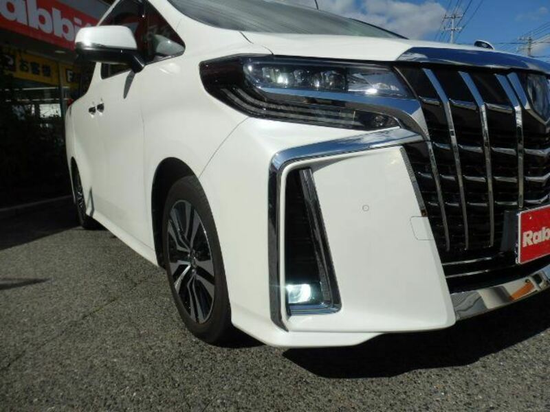 ALPHARD-8