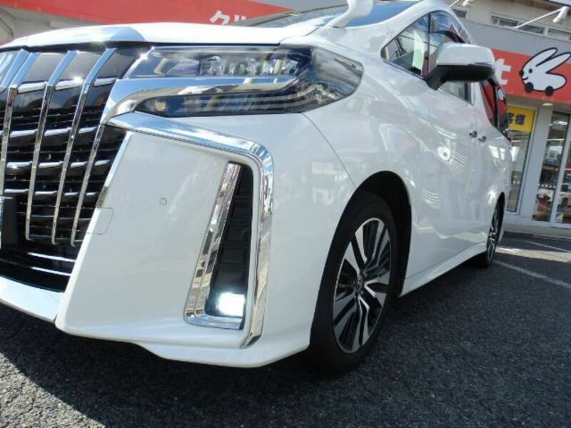 ALPHARD-10