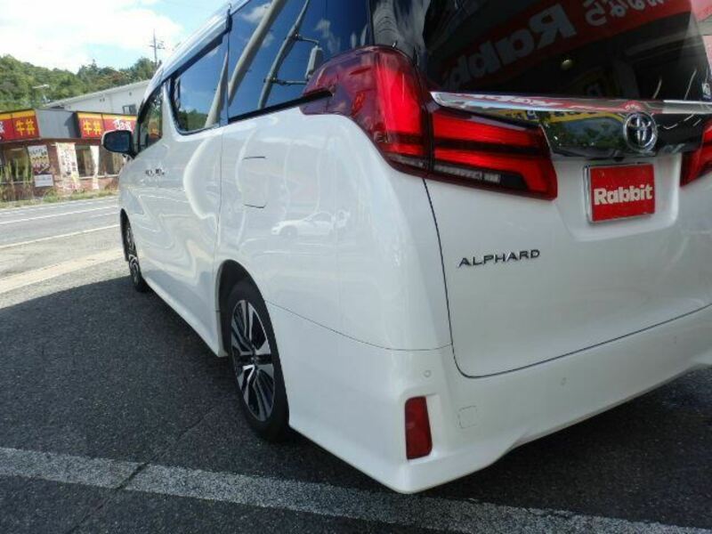 ALPHARD-11