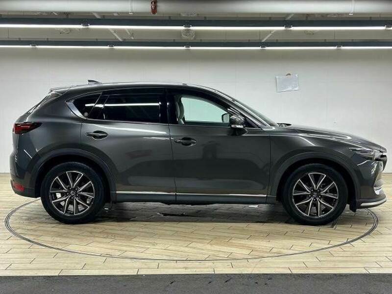 CX-5-17