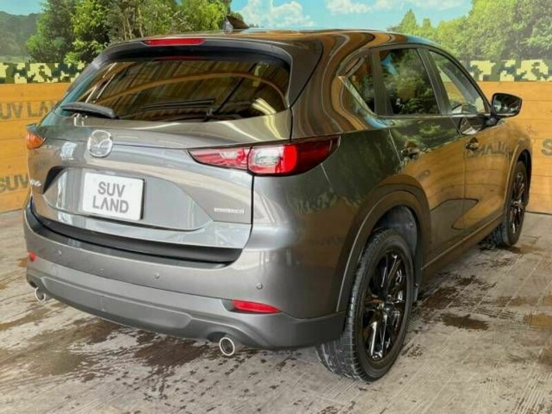 CX-5-17