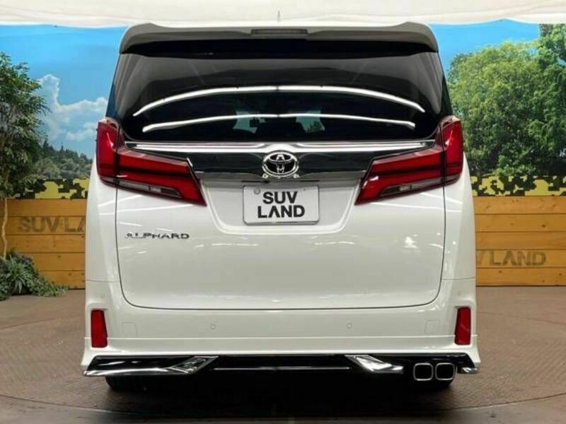 ALPHARD-16