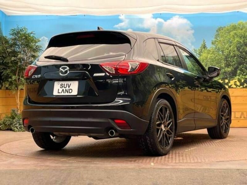 CX-5-17