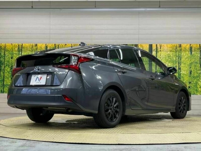 PRIUS-17