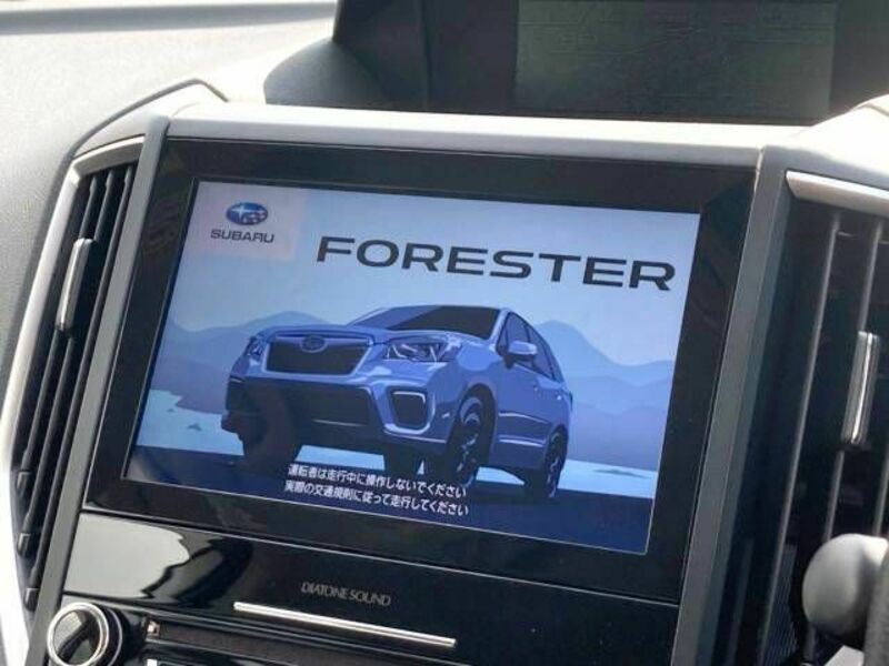 FORESTER-2