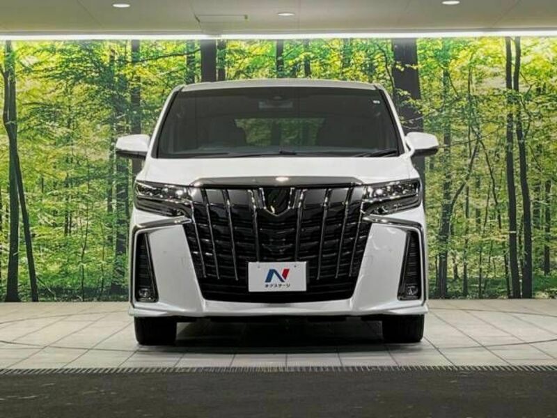 ALPHARD-15