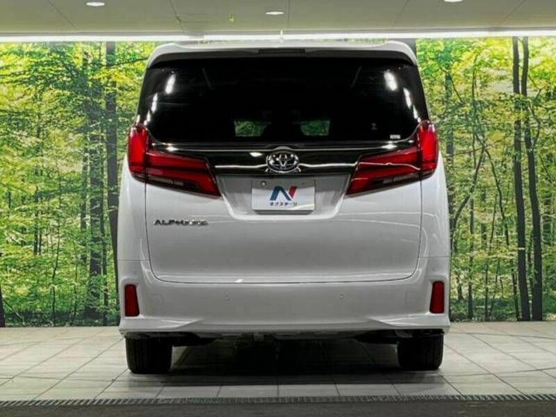 ALPHARD-16