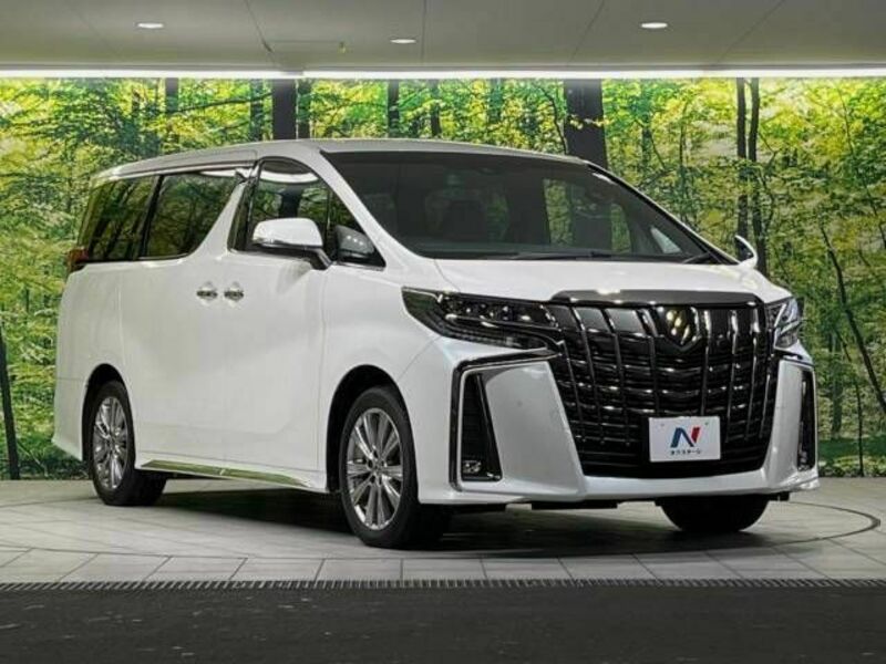 ALPHARD-17