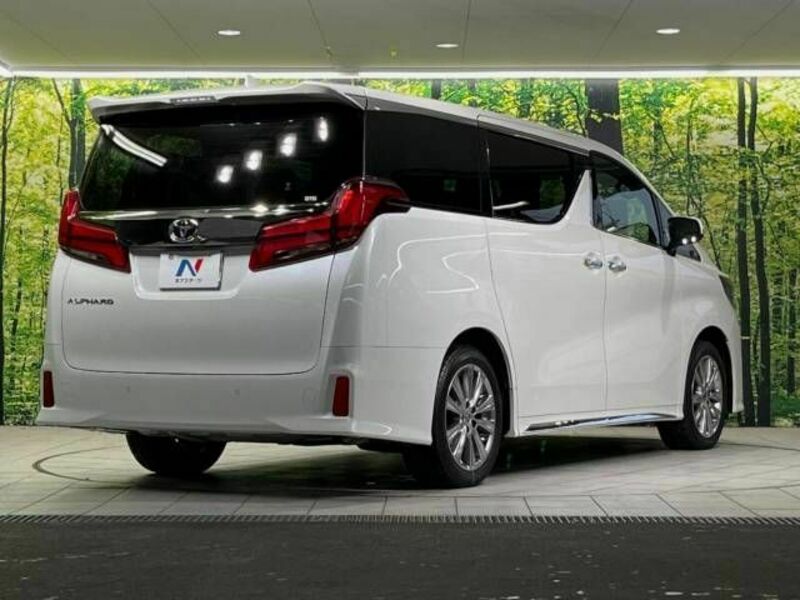 ALPHARD-18