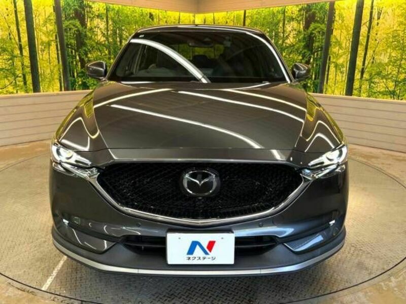 CX-5-14