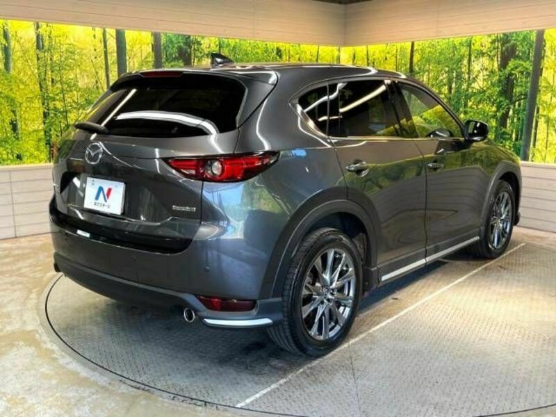 CX-5-17