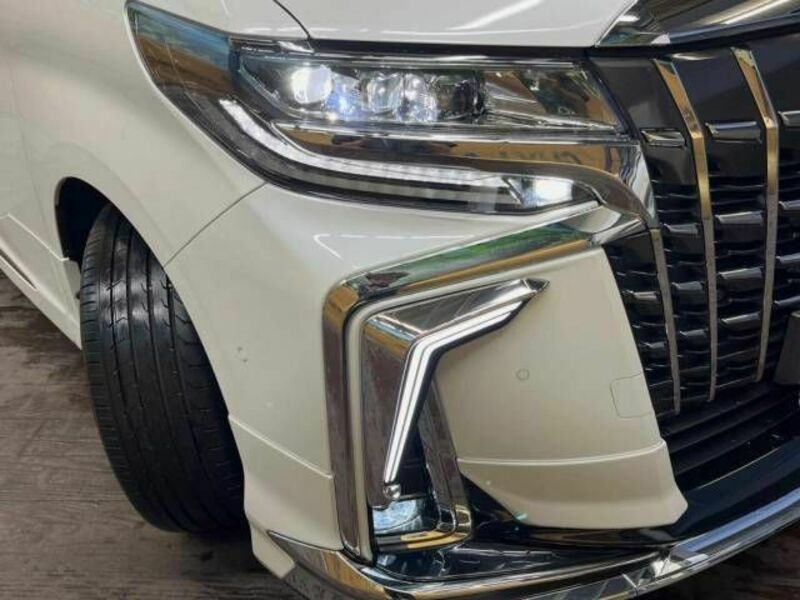 ALPHARD-13