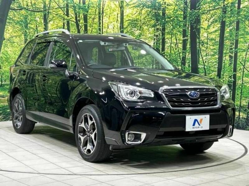 FORESTER-16