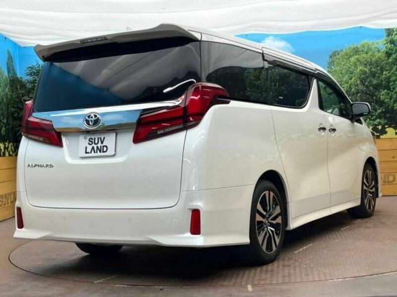 ALPHARD-17