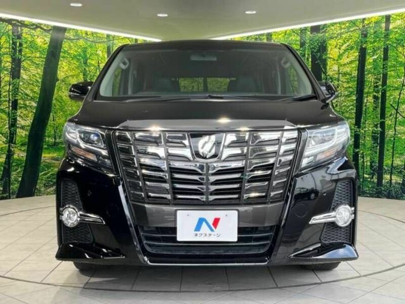 ALPHARD-15