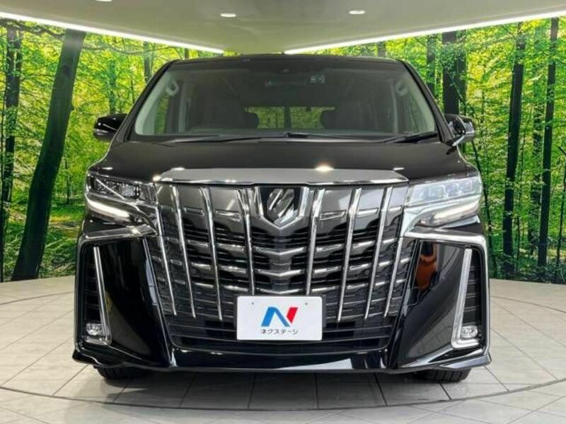 ALPHARD-15