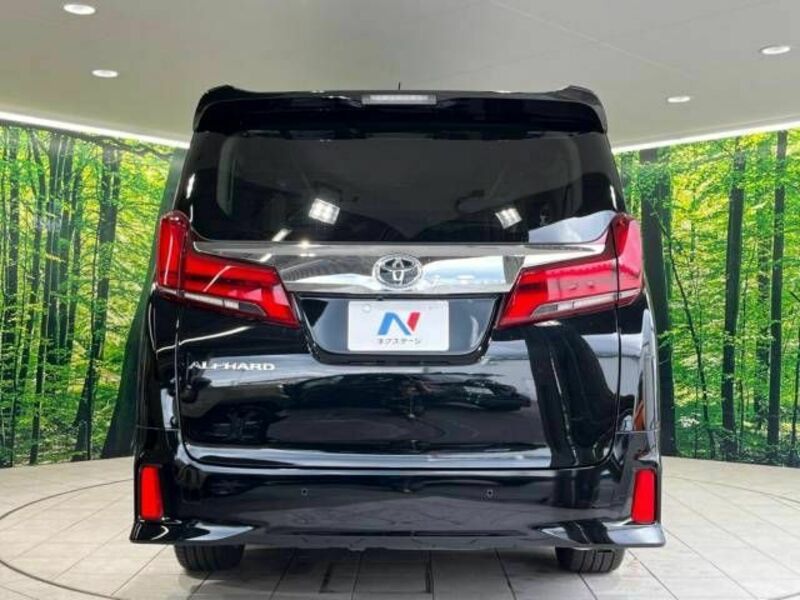 ALPHARD-16