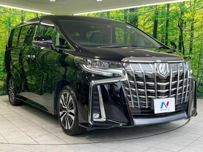 ALPHARD-17