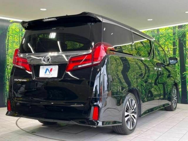 ALPHARD-18