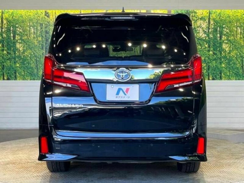 ALPHARD-16