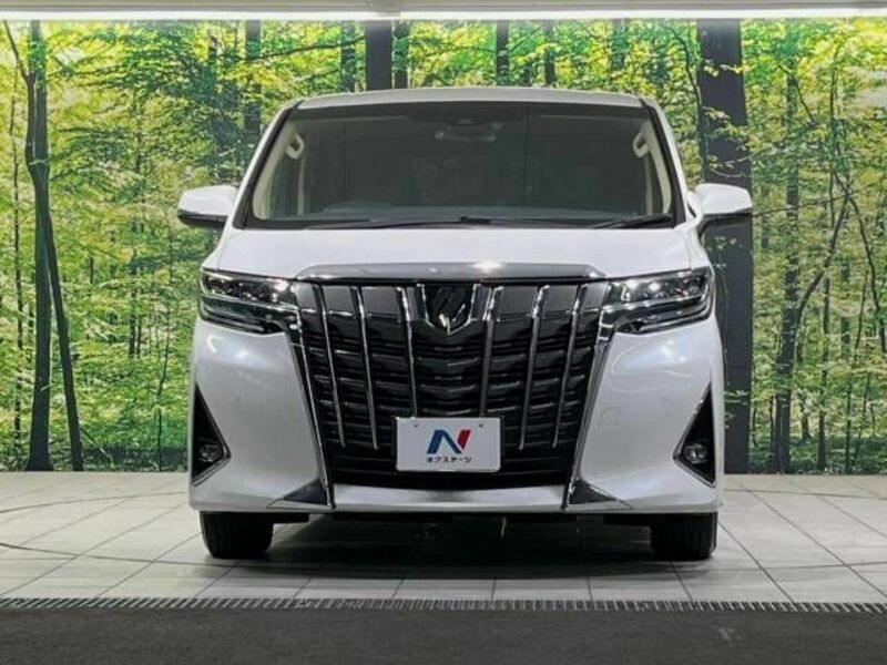 ALPHARD-14