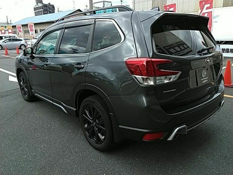 FORESTER-17