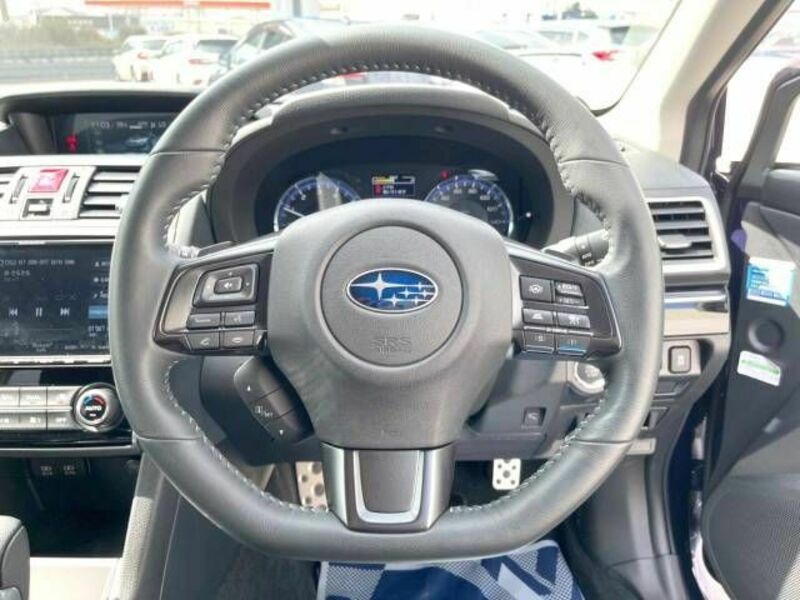 LEVORG-11