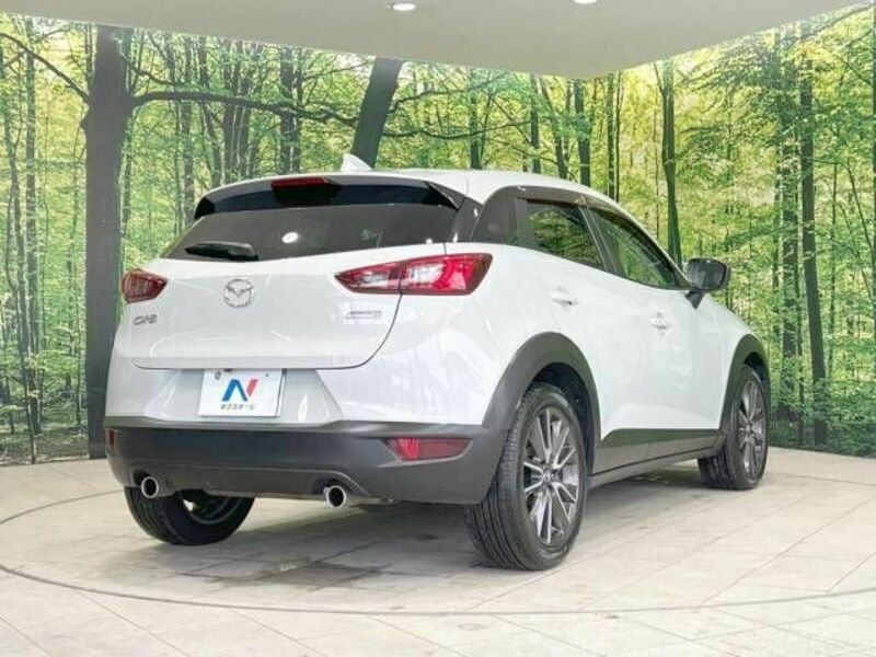 CX-3-17