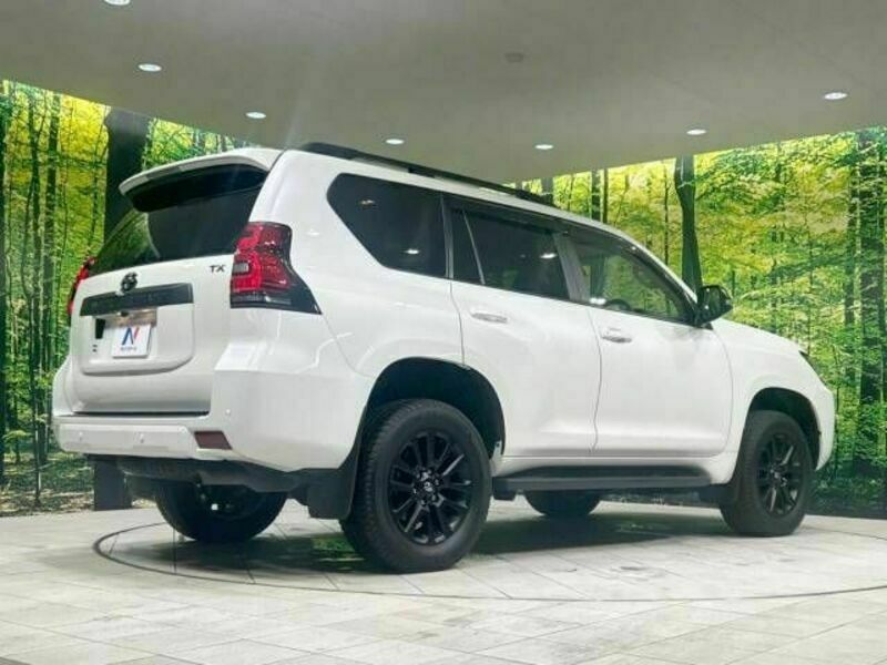 LAND CRUISER PRADO-17