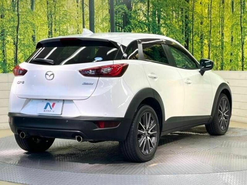 CX-3-17