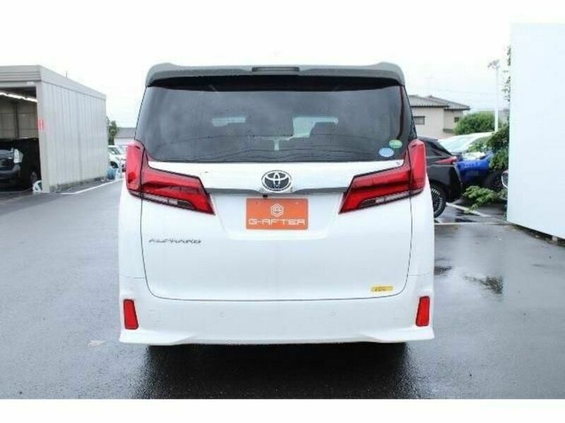 ALPHARD-6