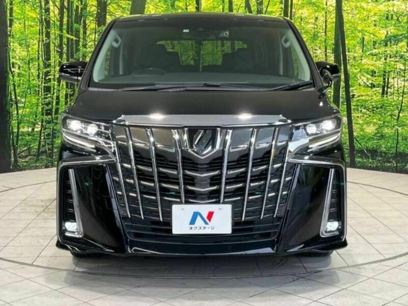 ALPHARD-14