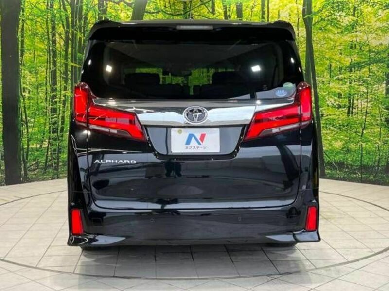 ALPHARD-15