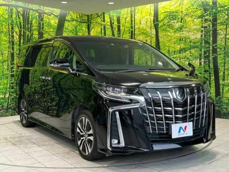 ALPHARD-16