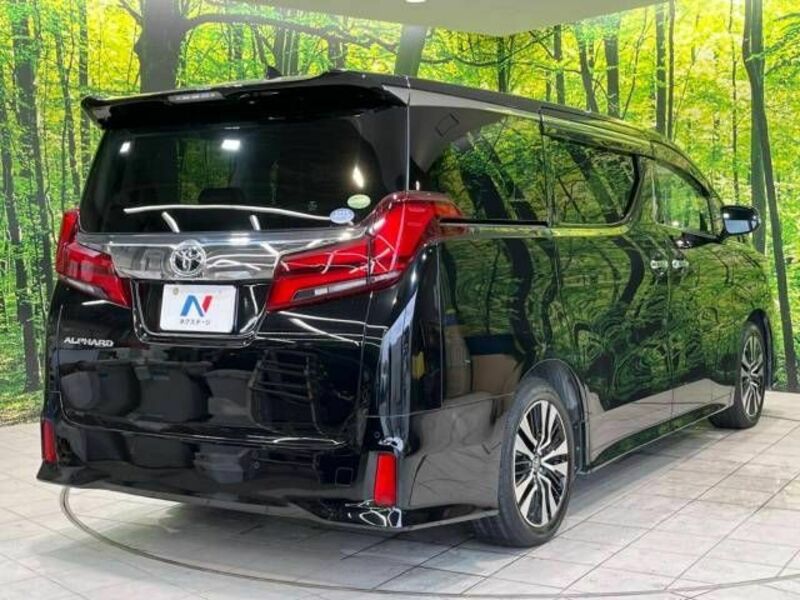 ALPHARD-17