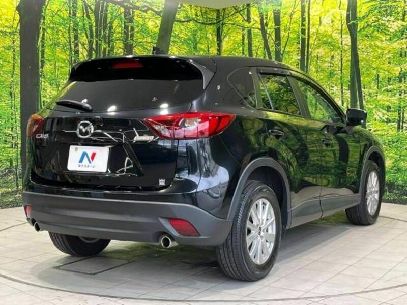 CX-5-17