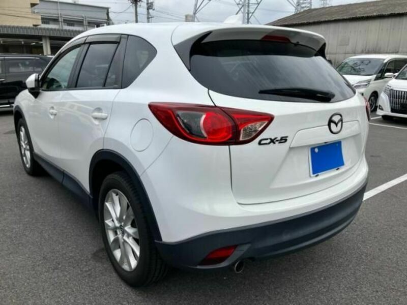 CX-5-3